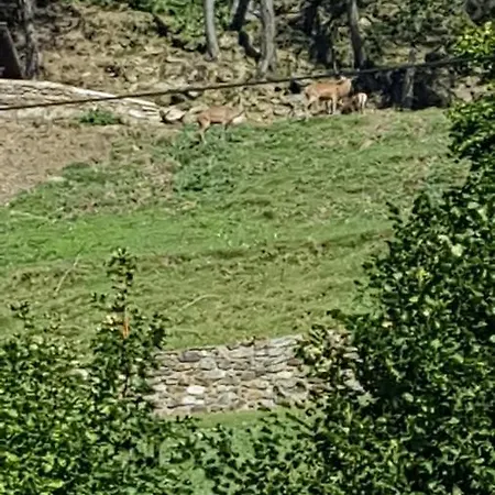 Chalet Canedi - Maso Dei Cuori
