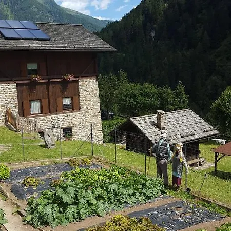 Chalet Canedi - Maso Dei Cuori Alpehytte