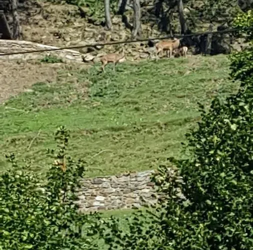 Chalet Canedi - Maso Dei Cuori